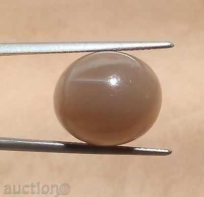 Παράδοση σπαθί Παράδοση σπαθί