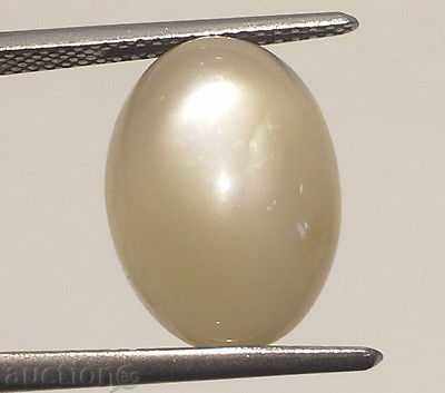 σπαθί με τιμή 29.99 BGN | € 15.33