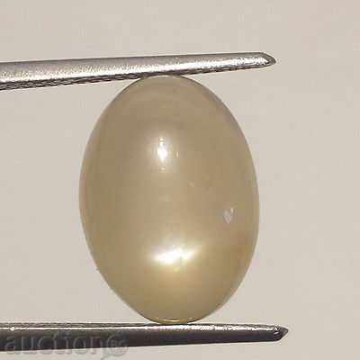 Δημοπρασία σπαθί