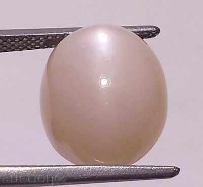 Auction Moonstone Auction Moonstone