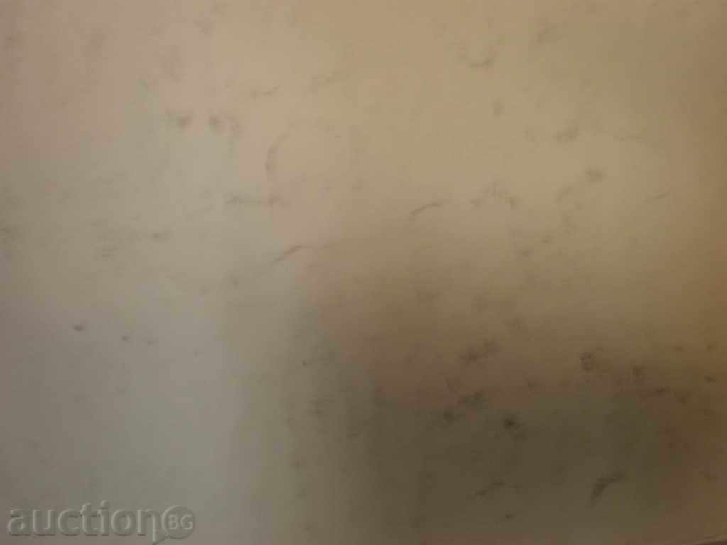 Auction Ink drawing Auction Ink drawing