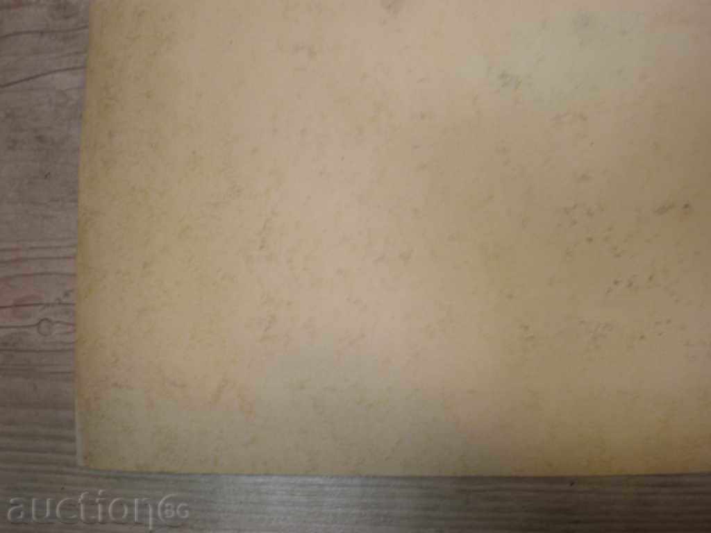 Auction imprint Auction imprint