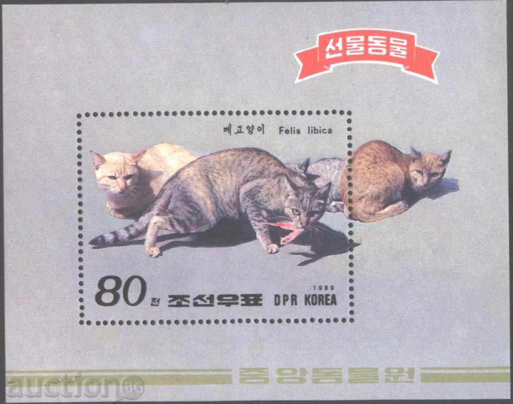 Pisici bloc curat 1989 Coreea de Nord