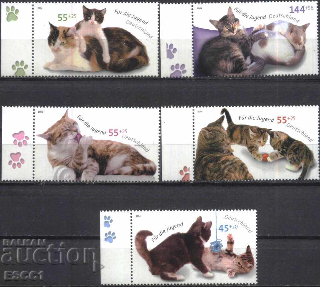 Clean Cats 2004 from Germany with price 18.50 BGN | € 9.46