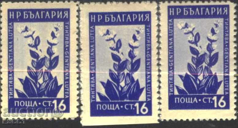 Pure brand Flora Tintyava 1953 NON-TREATED ERROR Bulgaria with price 5.00 BGN | € 2.56 Pure brand Flora Tintyava 1953 NON-TREATED ERROR Bulgaria with price 5.00 BGN | € 2.56