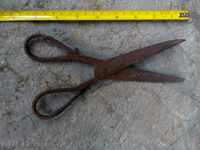 Old forged scissors.