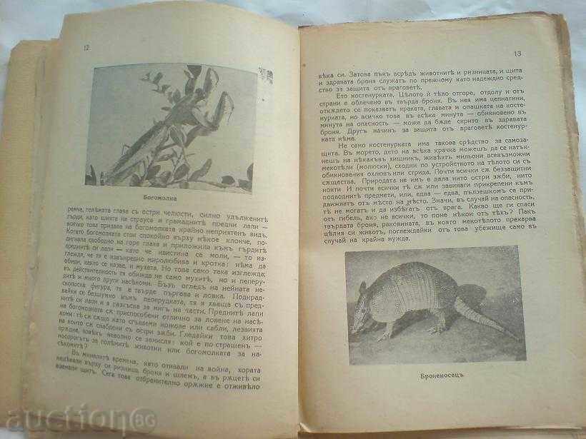 Δημοπρασία παλιό βιβλίο