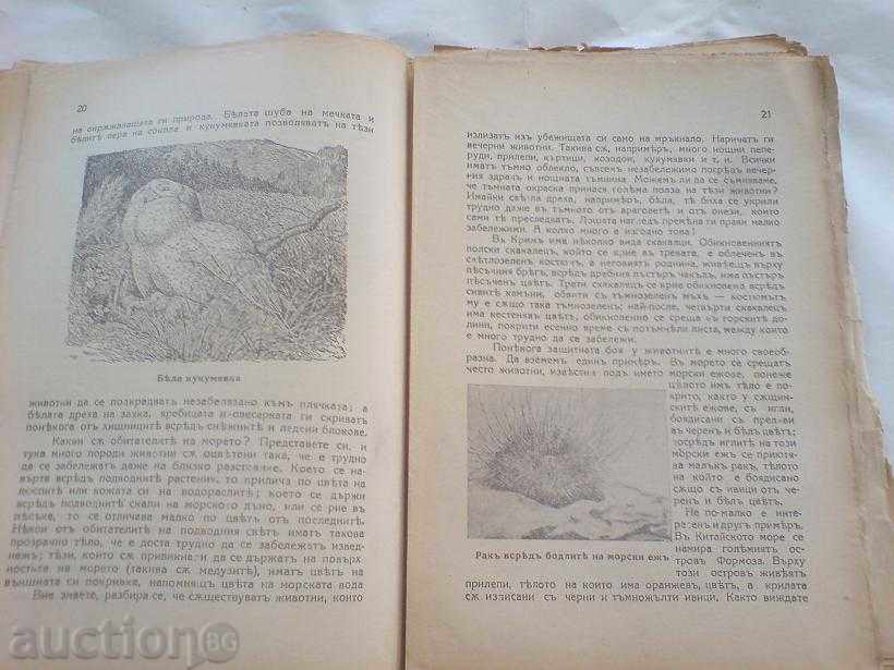 Delivery of an old book