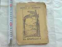 стара книга