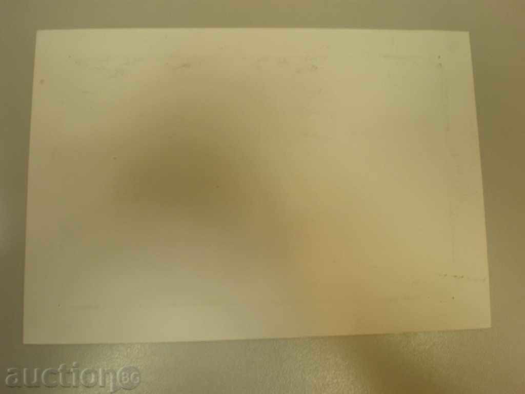 Auction Pencil drawing - Vl. Vichev - 67 years old. Auction Pencil drawing - Vl. Vichev - 67 years old.