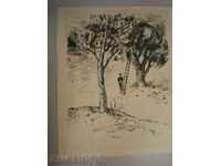 картина- отпечатък.Коновалчева