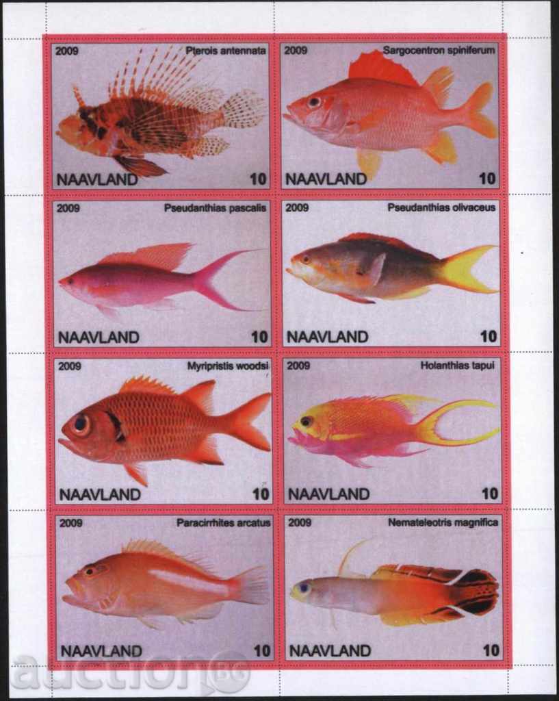 Чист блок Риби 2009 от Навланд