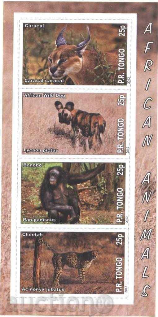 Καθαρίστε μπλοκ 2012 ζώα της Αφρικής Τόνγκο