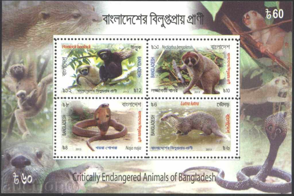 Clean Fauna 2013 block from Bangladesh