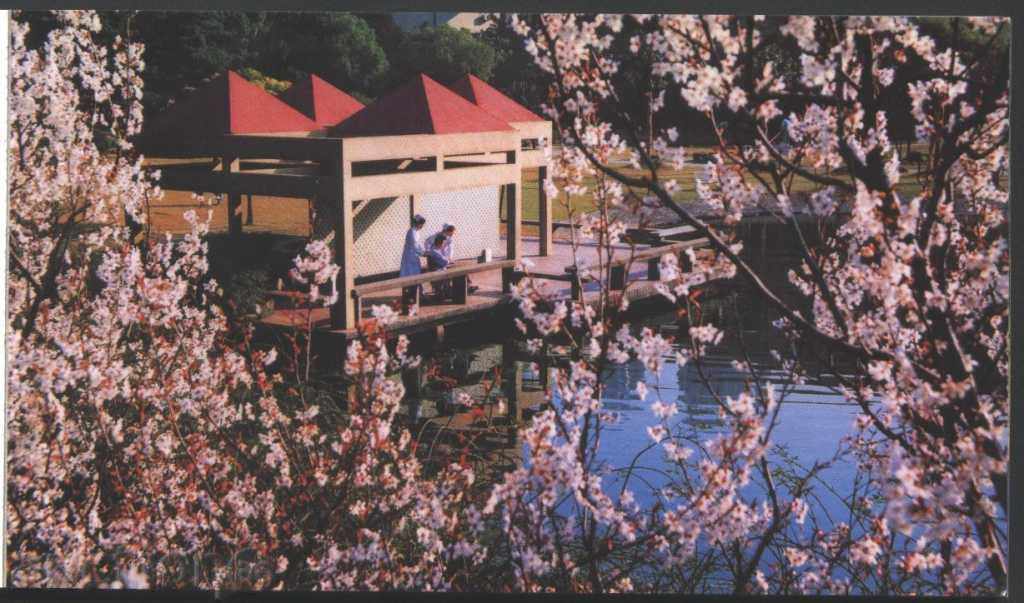 Delivery of Postcards Hospital in Shanghai from China Delivery of Postcards Hospital in Shanghai from China