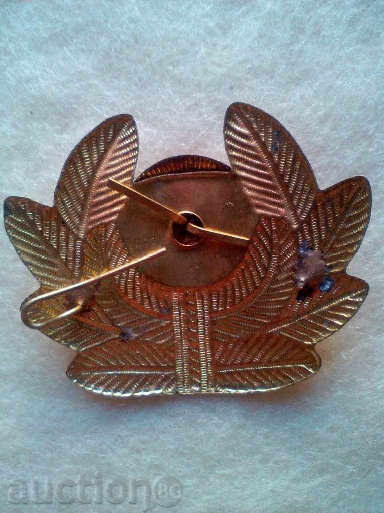 Un email rar Air Force INSIGNIA sociale! cu preț 10.00 BGN | € 5.11 Un email rar Air Force INSIGNIA sociale! cu preț 10.00 BGN | € 5.11