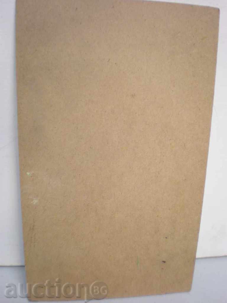 Delivery of painting-oil on phaser-signed. Delivery of painting-oil on phaser-signed.