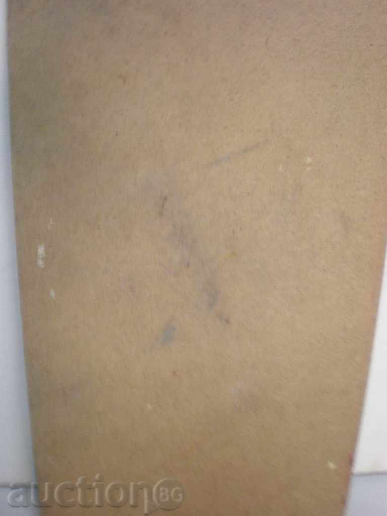 Δημοπρασία ζωγραφική-λάδι σε φέιζερ-υπογραφή. Δημοπρασία ζωγραφική-λάδι σε φέιζερ-υπογραφή.