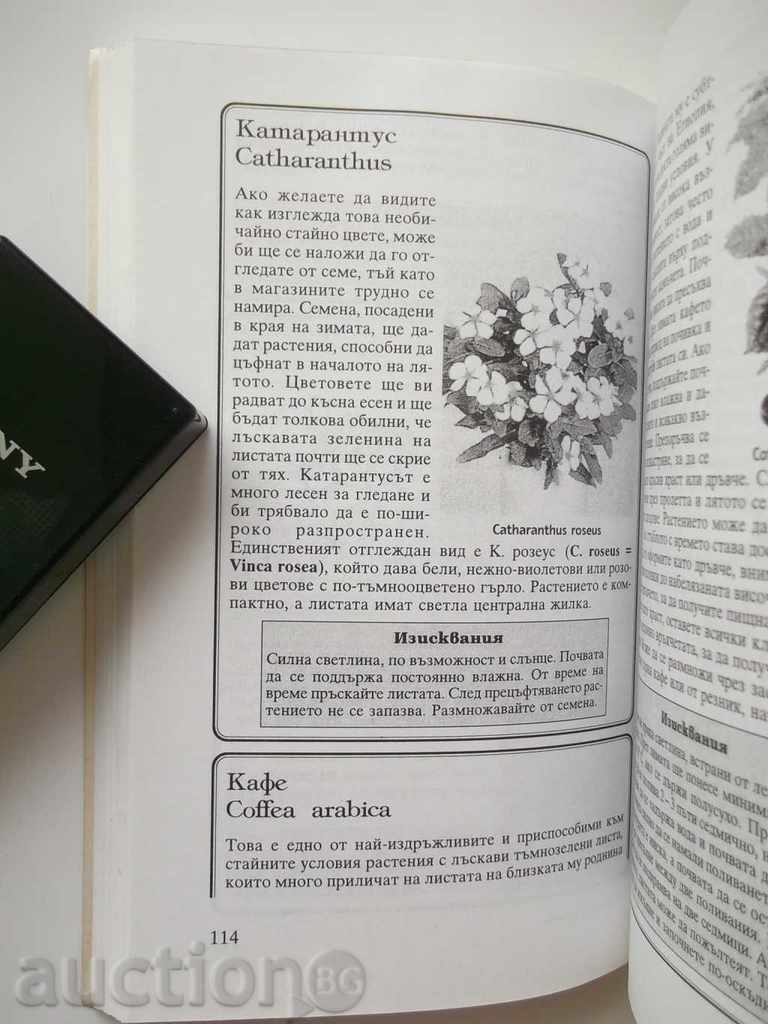 Indoor plants - Zhechka Georgieva 1998 with price 7.50 BGN | € 3.83 Indoor plants - Zhechka Georgieva 1998 with price 7.50 BGN | € 3.83