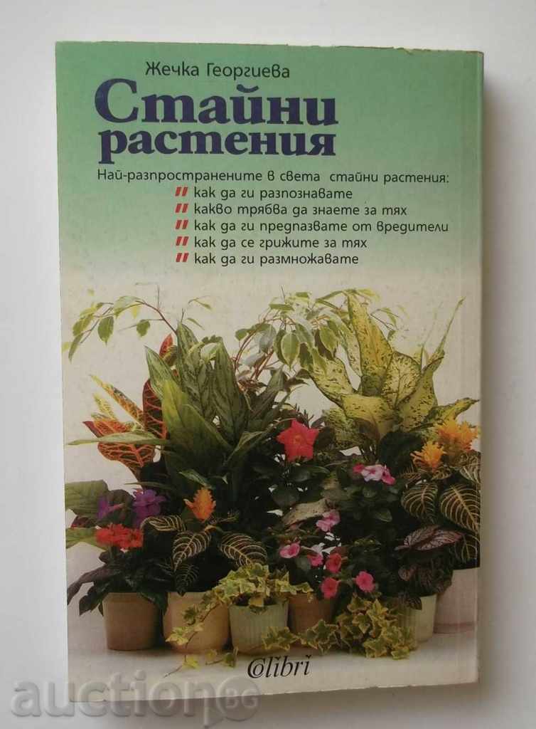 Delivery of Indoor plants - Zhechka Georgieva 1998 Delivery of Indoor plants - Zhechka Georgieva 1998