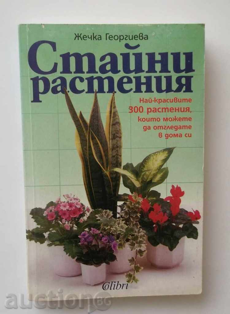 Indoor plants - Zhechka Georgieva 1998