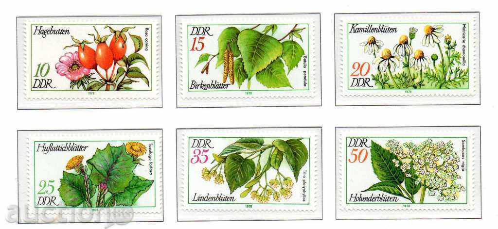 1978. GDR. Medicinal plants.