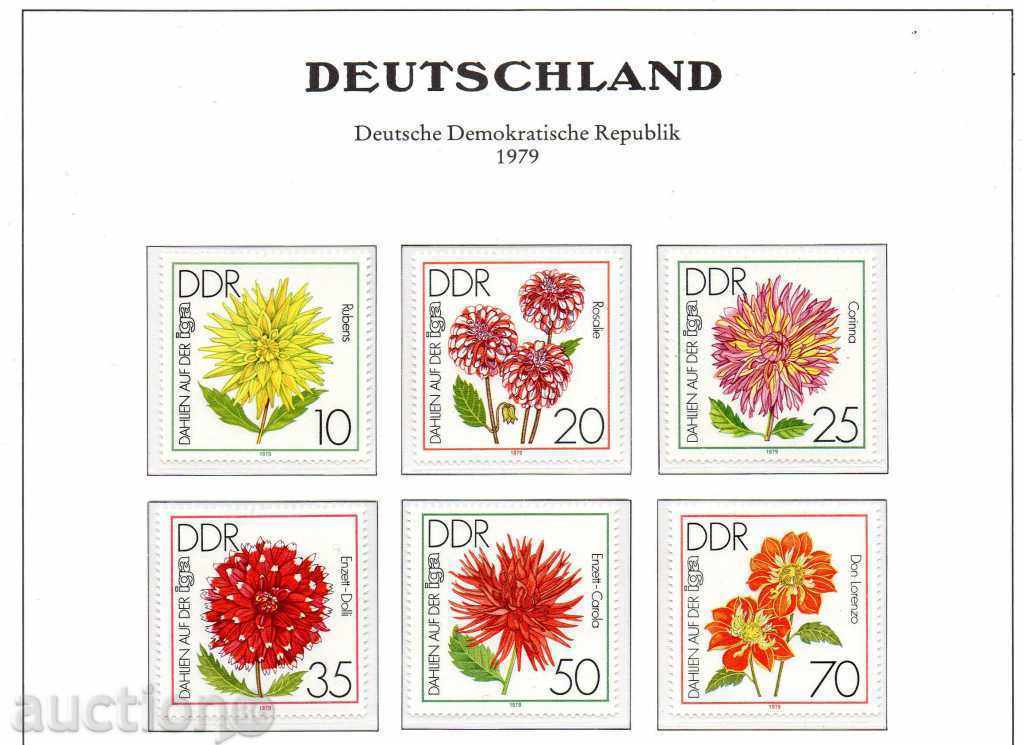 1979. ΛΔΓ. Διεθνής Έκθεση λουλούδια στον κήπο, Erfurt.