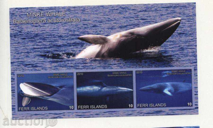 Καθαρίστε μπλοκ φάλαινες 2010 Νήσων Fehr