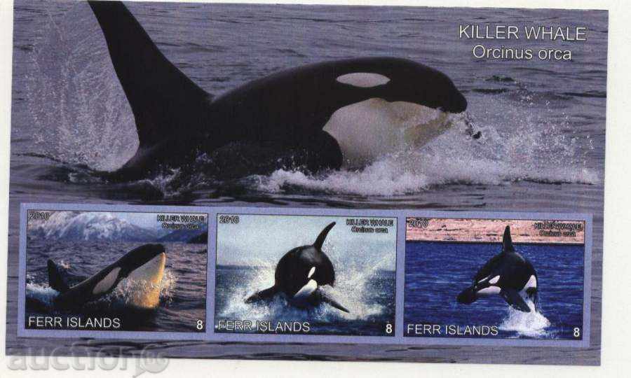Καθαρίστε μπλοκ φάλαινες 2010 Νήσων Fehr