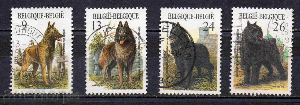 1986. Belgia. câini de curse belgiene.