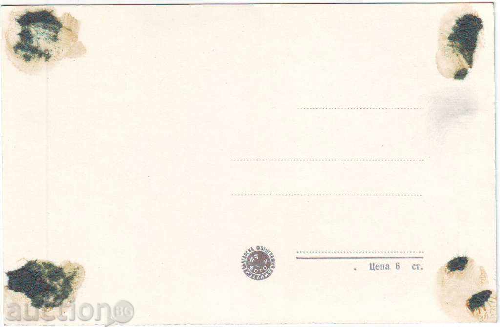 PC - Dimitrovgrad - 8 with price 2.00 BGN | € 1.02 PC - Dimitrovgrad - 8 with price 2.00 BGN | € 1.02