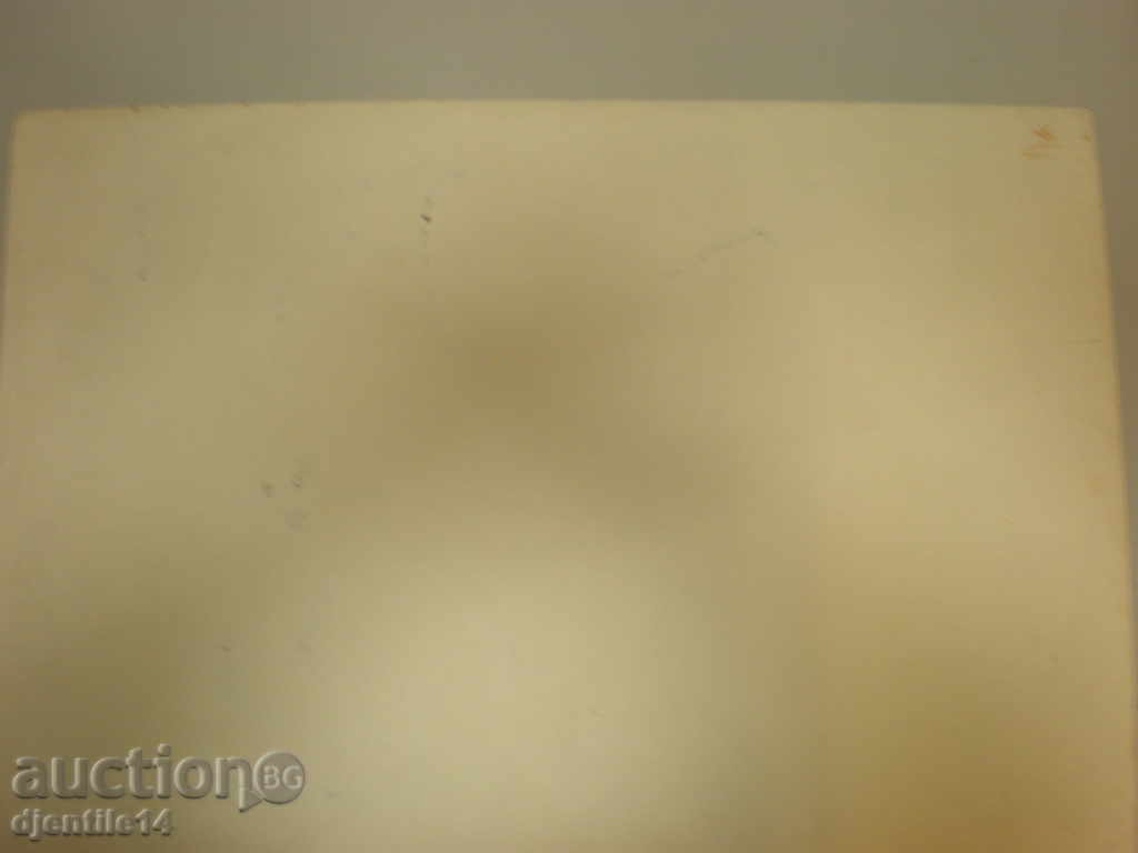 Delivery of painting - ink and pastel. Delivery of painting - ink and pastel.