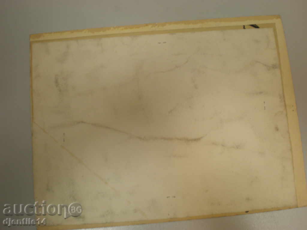 Licitație pictura acuarela