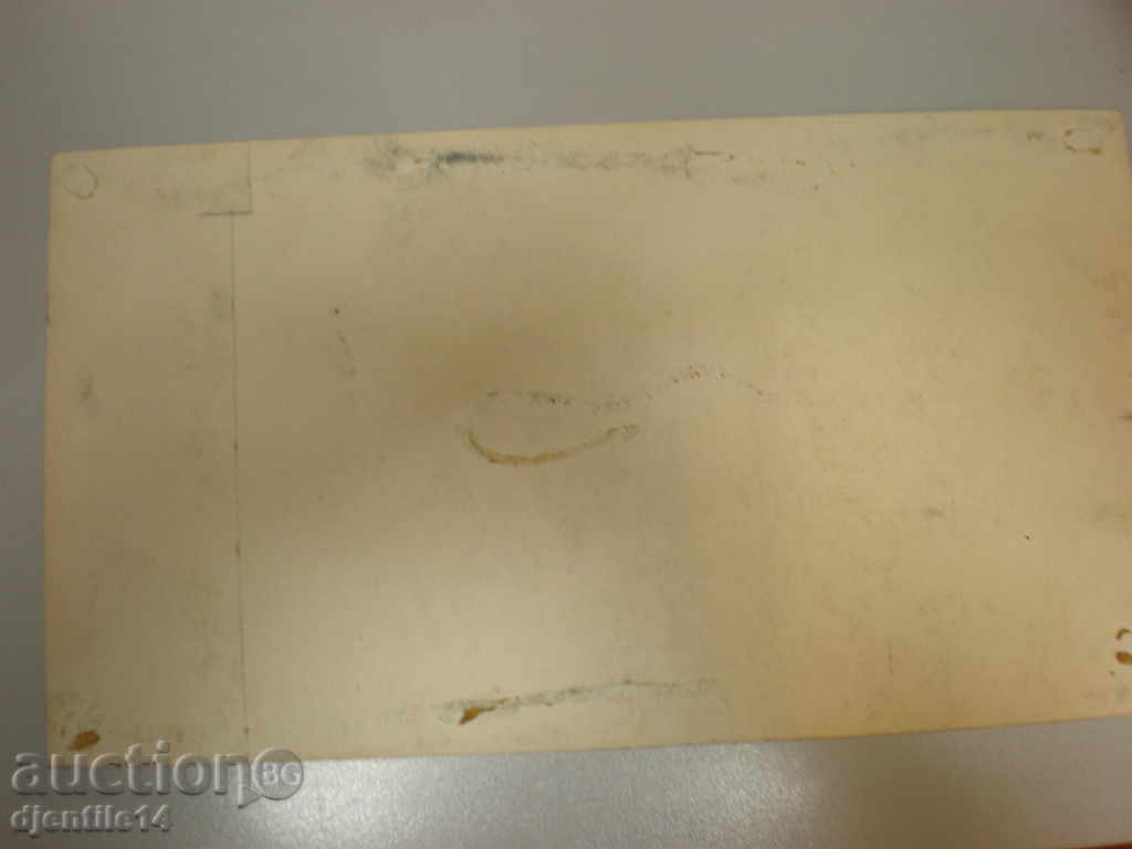 Auction painting, pastel-paper. Auction painting, pastel-paper.