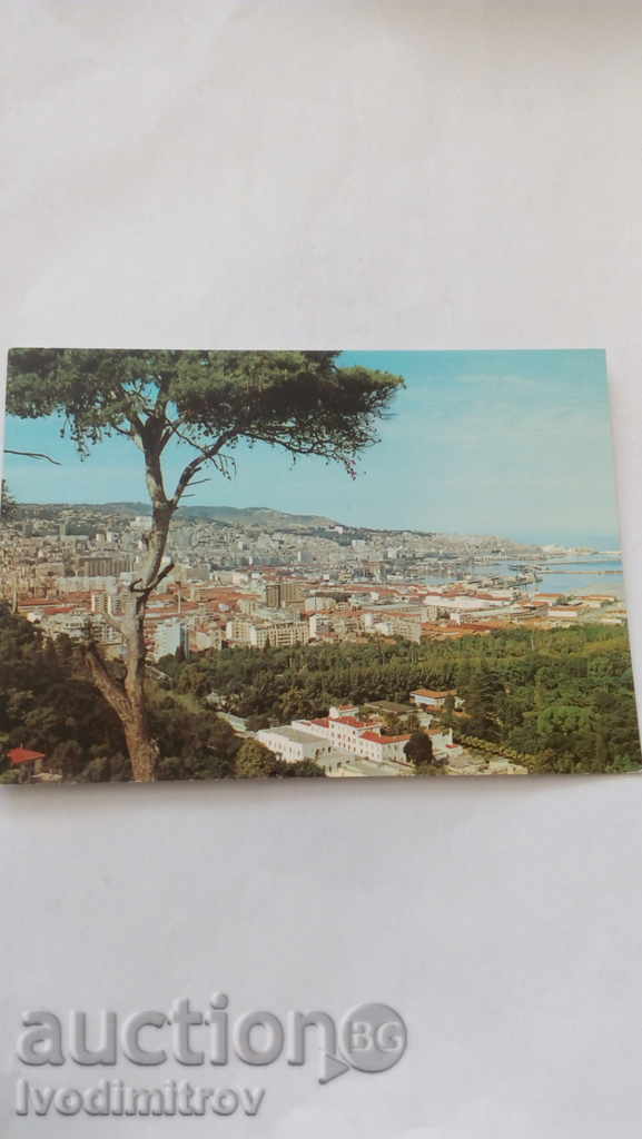 Postcard Alger Vue Generale