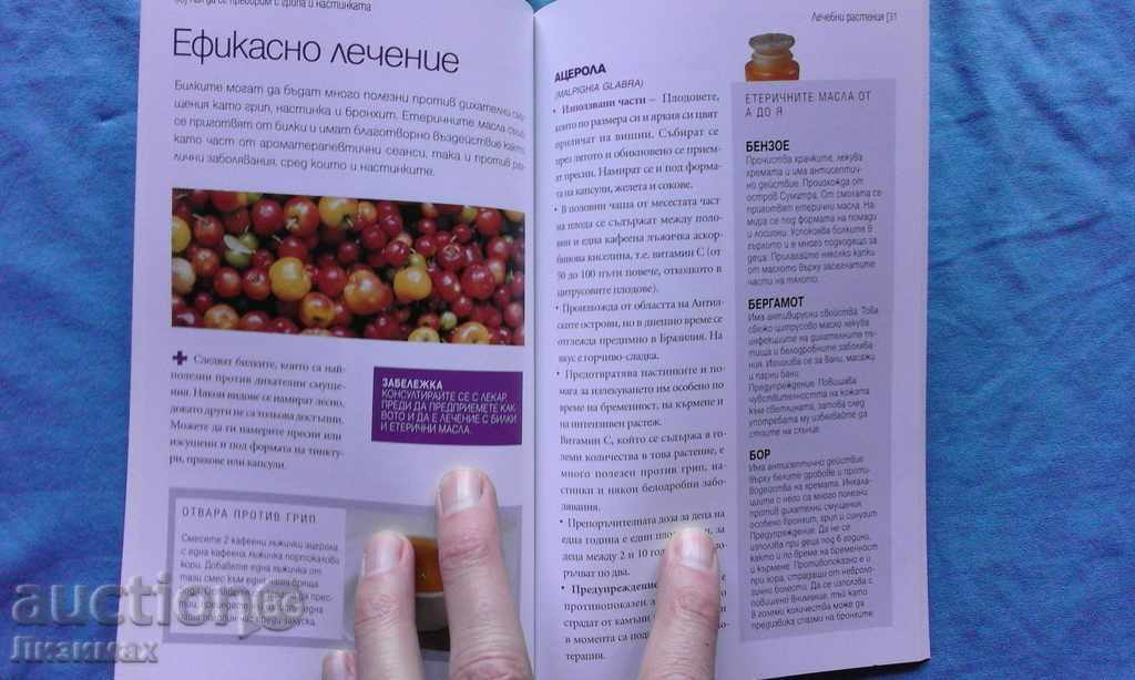 Delivery of How to fight flu and cold Delivery of How to fight flu and cold