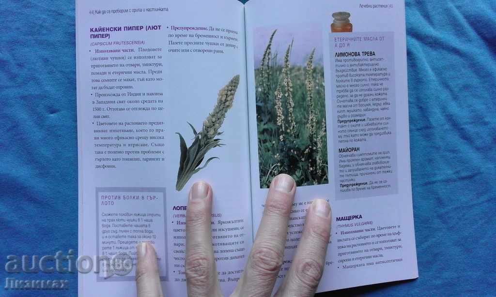 Как да се преборим с грипа и настинката - 6