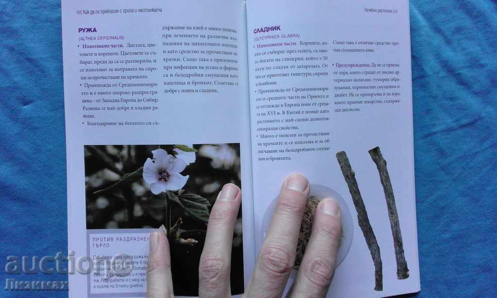 Как да се преборим с грипа и настинката - 7