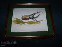 "Beetle" painting by the artist Desislava Ilieva.
