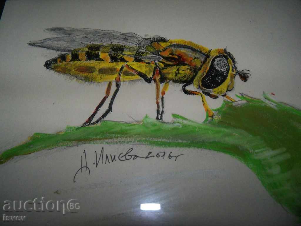 "Slashed" a picture by the artist Desislava Ilieva. with price 55.00 BGN | € 28.12 "Slashed" a picture by the artist Desislava Ilieva. with price 55.00 BGN | € 28.12