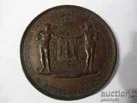 COLLECTORS - BRONZE MEDAL - 1889 YEAR!