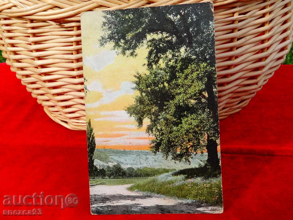 An old postcard with a landscape that traveled. with price 1.00 BGN | € 0.51