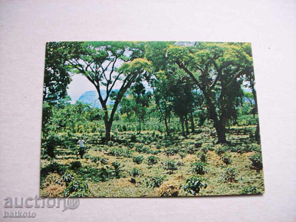 Καρτ ποστάλ Αιθιοπία