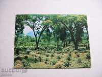 Postcard Ethiopia