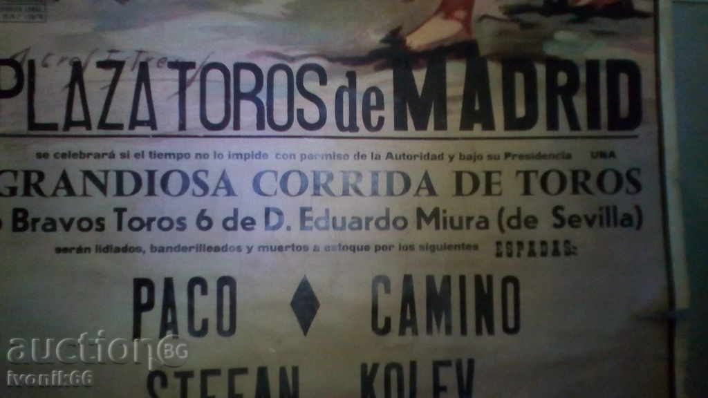 The First Matador BULGARIAN - UNIQUE! Huge size over 1m - 5