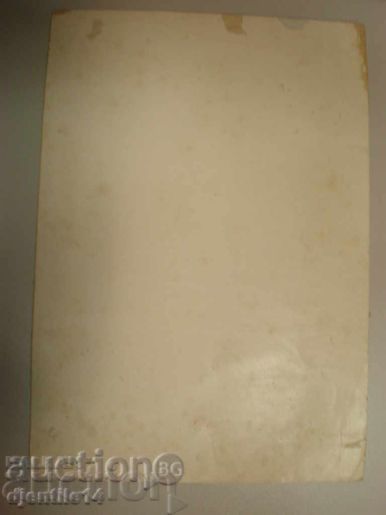 Auction Ink drawing Auction Ink drawing