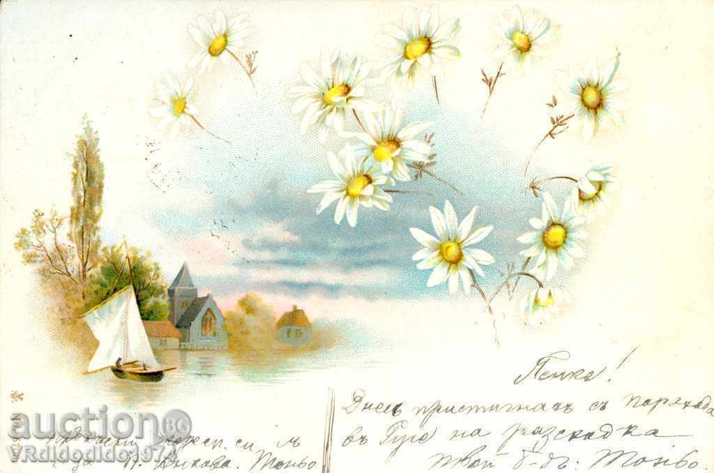 TRIPLE card 1901 with SMALL LOVE 5 st TRIPLE card 1901 with SMALL LOVE 5 st