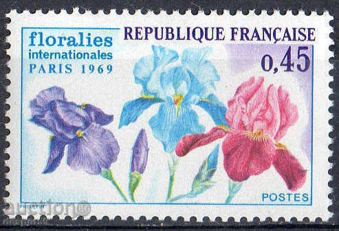 1969. Franța. expoziție de flori International din Paris.