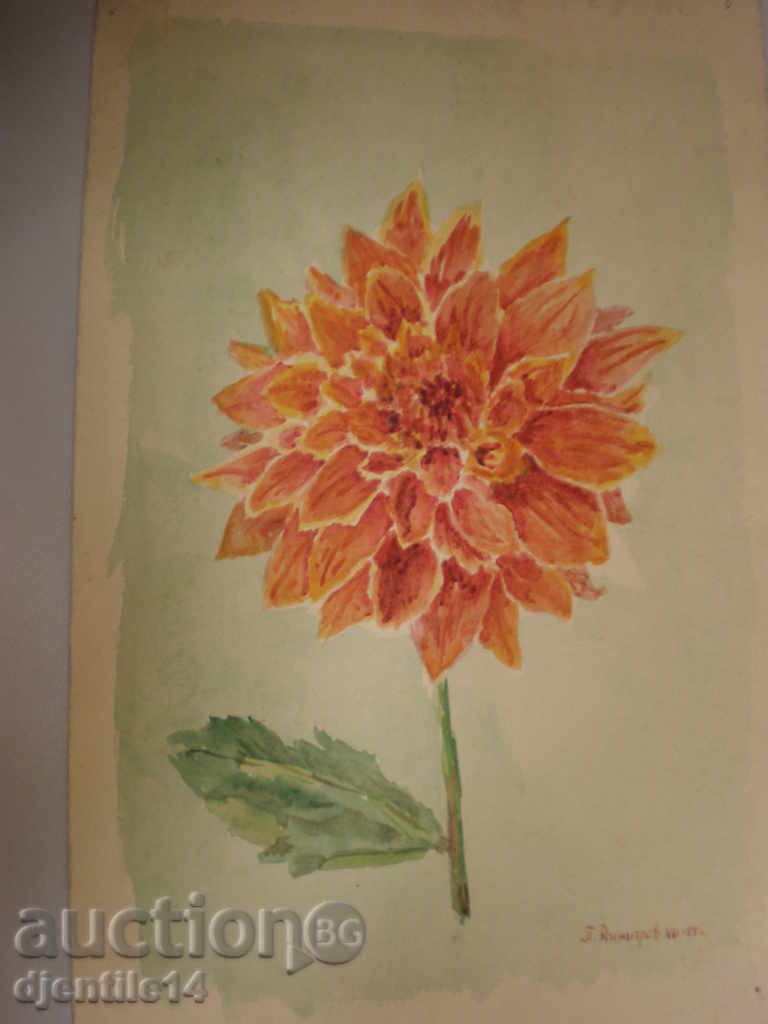 Рисунка акварел-П.Димитров-гр.Тетевен-55г.