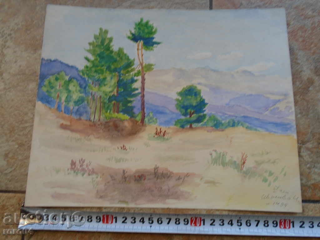 Δημοπρασία STAR AKVAREL Iskra Ιβάνοβα